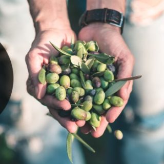 Riviera Type Olive Oil