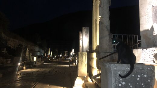 A Black Cat İn Ephesus During A Night Tour In Ephesus